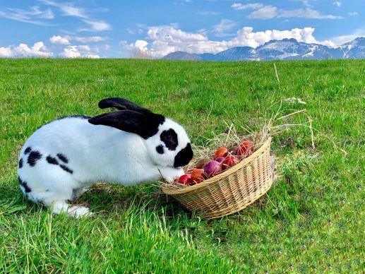Ostern mit Kampenwand_Foto H. Reiter (2)