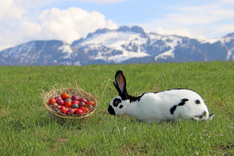 Ostern mit Kampenwand_Foto H. Reiter (3)