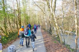 P1440763_resized_20220419_085508817