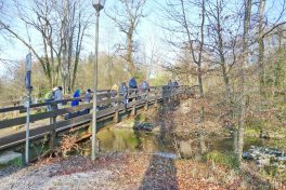 P1440768_resized_20220419_085507883