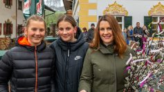 Palmweihe inToerwang