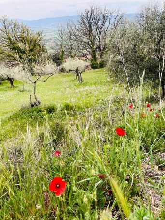 Pfarrverband Riedering Assisi (30)