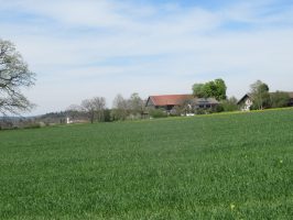 Höhenweg Breitbrunn-Gstadt