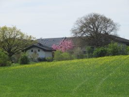 Höhenweg Breitbrunn-Gstadt