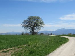 Höhenweg Breitbrunn-Gstadt