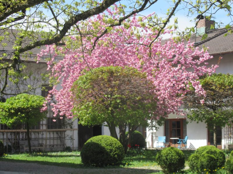 Höhenweg Breitbrunn-Gstadt