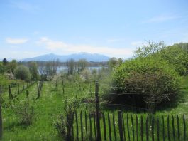 Höhenweg Breitbrunn-Gstadt