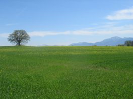 Höhenweg Breitbrunn-Gstadt