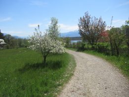 Höhenweg Breitbrunn-Gstadt