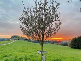 kl-1Blick von Munzing nach Mupferting