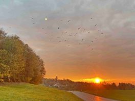 kl-1Sonnenuntergang Rimsting 2