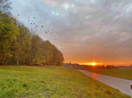 kl-1Sonnenuntergang Rimsting