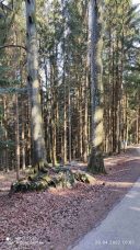 kl-IMG_20220420_100753