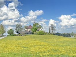 1Kirche Wildenwart 1