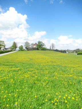 1Kirche Wildenwart hoch