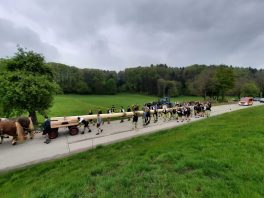 26e373a6-6821-4aa7-bc1f-602720359e17