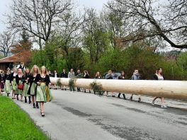 45a45824-4b9c-4f39-98bb-48c64701b2ec