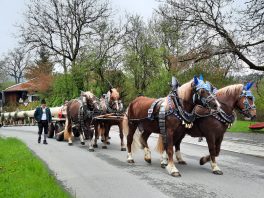 6f64cfb9-d89c-43a4-ba9b-5e2a25f9a146