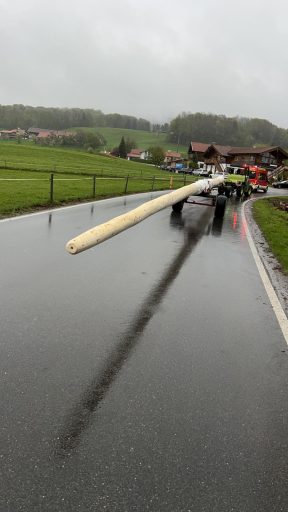 9ed5f395-026e-429d-b22b-17189598274c