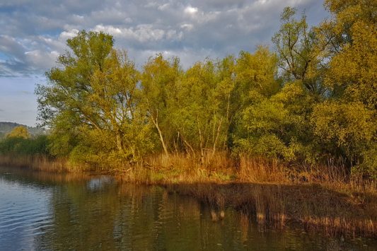 AktNatBeo-220504-ja-1_Morgenstimmung-1140pix