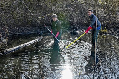 FB-Fischerei-goldfische