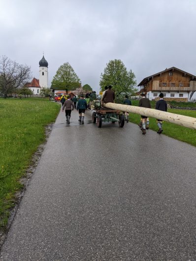 Maibaum Hoehenmoos (1)