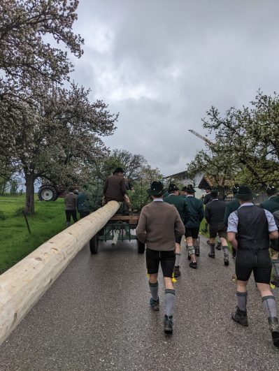 Maibaum Hoehenmoos (27)