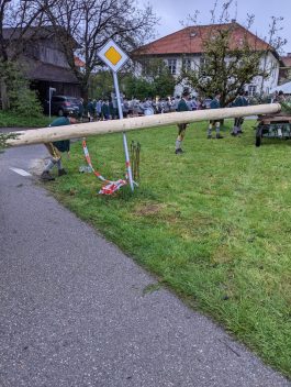 Maibaum Hoehenmoos (38)