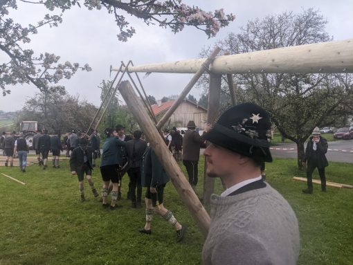 Maibaum Hoehenmoos (40)