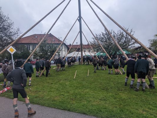 Maibaum Hoehenmoos (43)