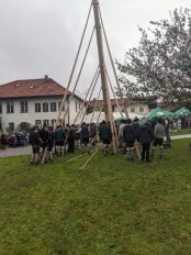 Maibaum Hoehenmoos (45)