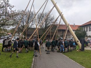 Maibaum Hoehenmoos (46)