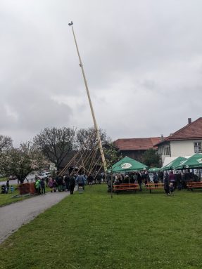 Maibaum Hoehenmoos (47)