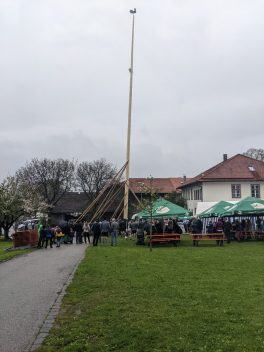 Maibaum Hoehenmoos (49)