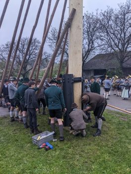 Maibaum Hoehenmoos (50)