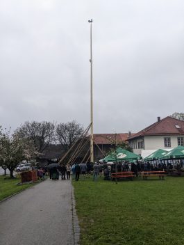 Maibaum Hoehenmoos (51)