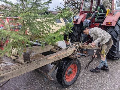 Maibaum Hoehenmoos (53)