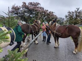 Maibaum Hoehenmoos (54)