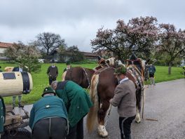 Maibaum Hoehenmoos (55)