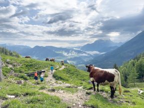 Molkerei_BGL_Almauftrieb_Ende_RGB