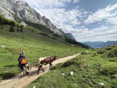 Molkerei_BGL_Almauftrieb_Oben_RGB