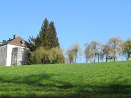 Sparzer Kircherl St. Salvator und Joseph