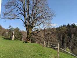 Sparzer Kircherl St. Salvator und Joseph