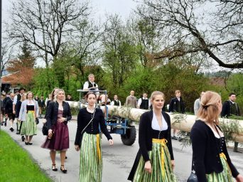 e6e7224b-c25f-40b0-a78c-5f961c2e147c