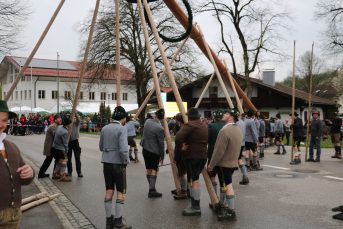 fras maibaum08