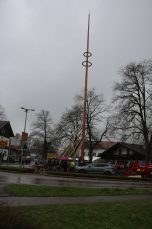 fras maibaum09