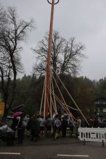 fras maibaum10
