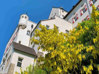 kl-Gold-Regen auf Hohenaschau_a1_Foto H. Reiter