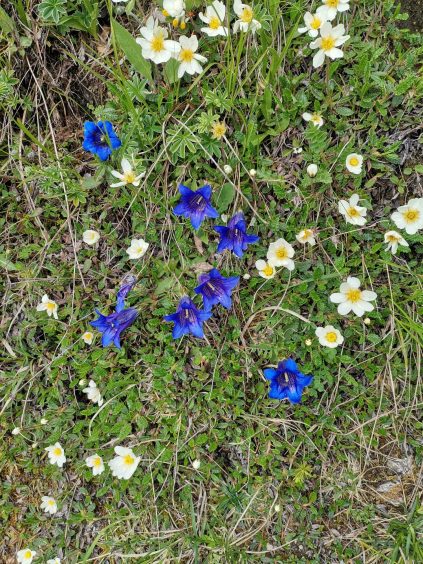 1570ce58-5f23-4934-b605-e24d5e966715