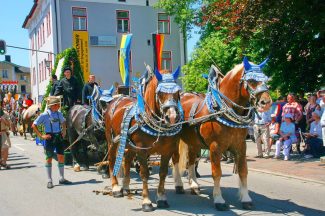 1Viergespann_aufgehellt